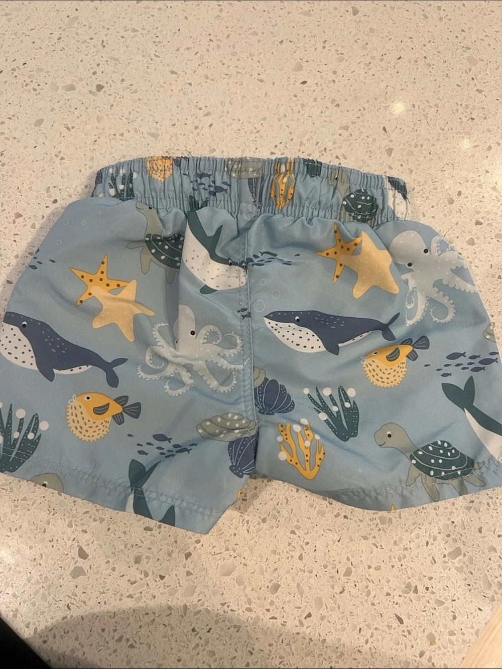 Light Blue baby Swim Shorts with Ocean Animal Print